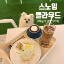 스노잉클라우드 | 해운대 애견동반 달맞이길 카페 감성 루프탑 스노잉클라우드 야간 방문 후기