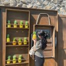 에이플러스팜 이미지