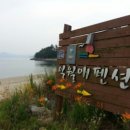 일월애관광농원 이미지