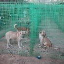 유예농장 이미지