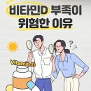 비타민D 부족이 위험한 이유 이미지