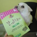 동현24시동물병원 네이버블로그