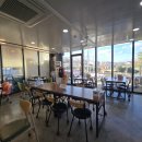 대왕바우 이미지