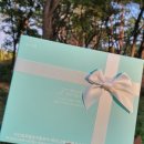 더드림샵 이미지