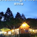 꿈꾸는 숲 이미지