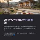 너와게스트하우스 이미지