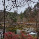 천두목장 | [평창/대관령] 평창 가볼만한 곳 대관령양떼목장 비오는날