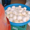 유진돈까스 앤 국수 이미지