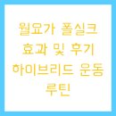 월요가 폴실크 효과 및 후기 하이브리드 운동 루틴