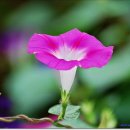 머믄자리 이미지