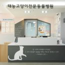 태능동물병원 이미지