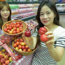 대석 세계일보