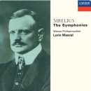 Symphony No.5 in Eb major, Op.82 (Sibelius) 이미지