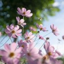 위너스자연요양병원 이미지