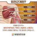 태림당한의원 네이버블로그