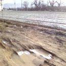 다마내기 이미지