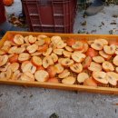 홍가네농장 이미지