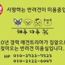 해루다루 Daum카페