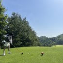 큐이디 아카데미 이미지