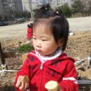 유안농장 Daum카페