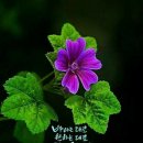 산성전통시장 이미지