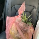 정관장홍삼금곡점