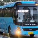 구구여행사