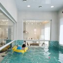 더아리웃집2 이미지