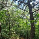 반룡산공원 | 장유 반룡산, 함께라서 더 빛났던 하루