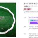 햄스터공화국
