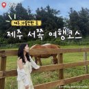 소길힐하우스민박 | 제주 가볼만한 곳 서쪽 여행코스 항파두리 소길별하 성이시돌목장 카멜리아힐