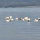 고니세탁소 이미지