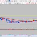 (주)오로라코퍼레이션 이미지