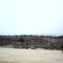 농협용유지점 이미지