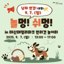 인in 티스토리