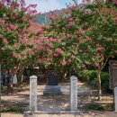 고려동유적지 이미지