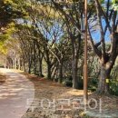 관광단지주차장 1화장실 이미지