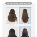 비티엔