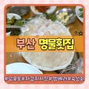 부산명물횟집 | 부산 남포동 숙성회 맛집 부산명물횟집 아쉬운 재방문 후기