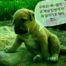 :다