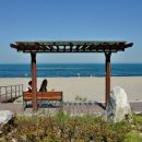 전촌솔밭해수욕장 이미지