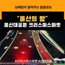 현대자동차 옥동점 | 울산대공원 크리스마스 마켓 (울산의 밤) 방문 후기 &amp; 주차 꿀팁! &amp; 화장실 꿀팁(주차대란/화장실대란)