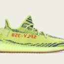 옐로우씨 이미지