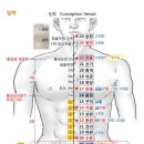 임맥 이미지