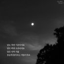 소소한이야기 이미지