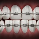 세종드림치과의원 이미지