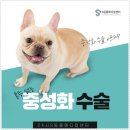 에스한방병원 이미지