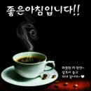 굿모닝 Daum카페