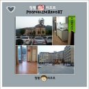 순채네집 | ＜독서 후기 18＞ “상실의 시대”, 무라카미 하루키의 섹스 묘사... 그리고, 그 봄날의 추억