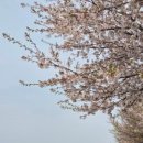 맑음터공원 자전거대여소 이미지